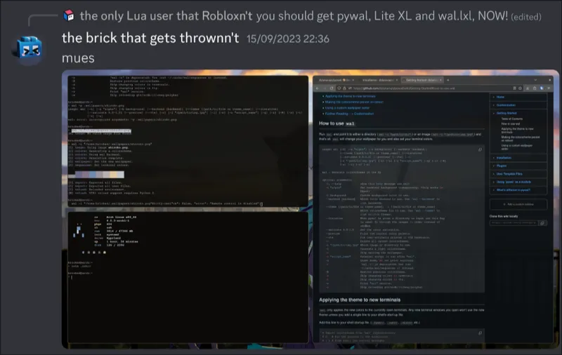 A screenshot showing a discord message of mine reading "mues" with an attached screenshot of my desktop setup. It's a reply to ThaCuber's message encouraging me to install pywal.